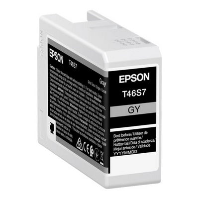 Epson UT46S Cartouche originale C13T46S700 - Gris